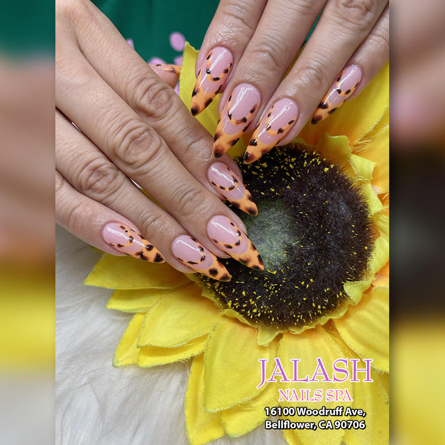Nail design collection
